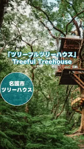 zuenmeiのTikTok投稿