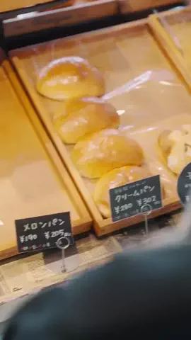 めんたいフィルムのTikTok投稿