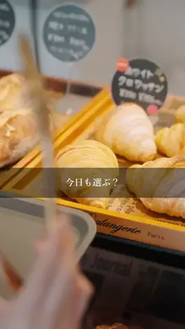 めんたいフィルムのTikTok投稿