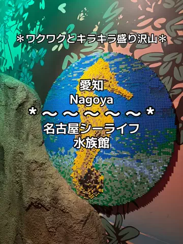 ちーやんのTikTok投稿