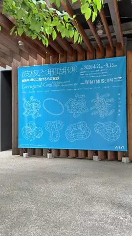 hikari￤建築イラストレーターのTikTok投稿