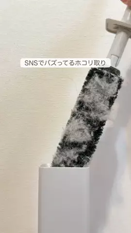 ぴい ┊ ズボラでも続く簡単そうじのTikTok投稿