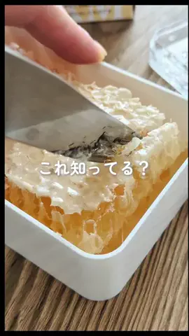 なおこ先生｜迷いを減らす料理の基本のTikTok投稿