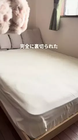 chaba.kurashiのTikTok投稿