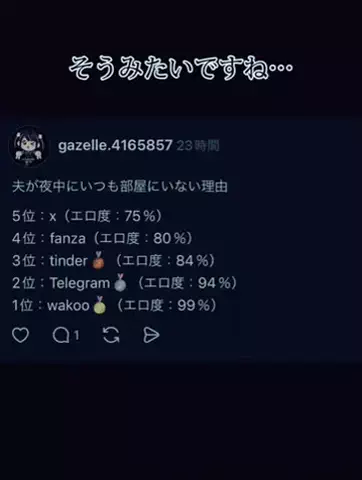 SのTikTok投稿