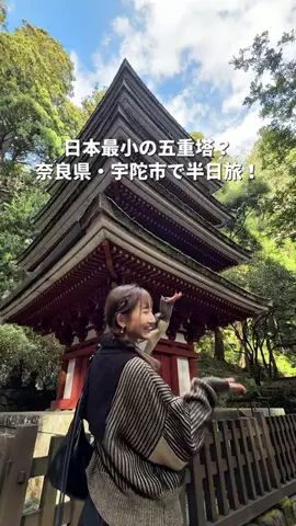 るる | 大阪発おでけけのTikTok投稿