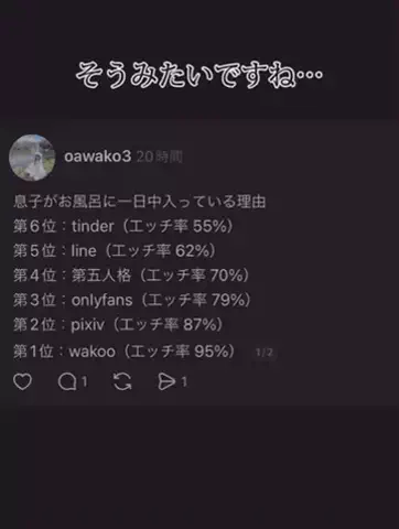 SのTikTok投稿