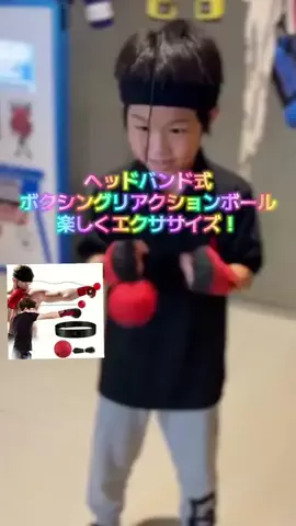 ちーちゃん🎀2匹のわんことハッピー人生のTikTok投稿