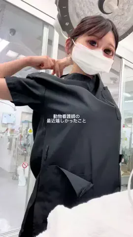 Nona🐷のTikTok投稿