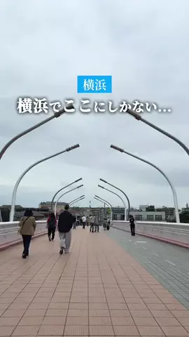 kou_yokohama_gourmetのTikTok投稿