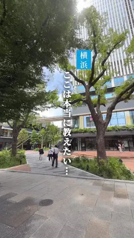 kou_yokohama_gourmetのTikTok投稿