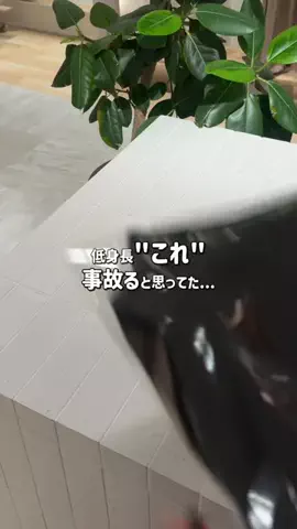 RukaのTikTok投稿