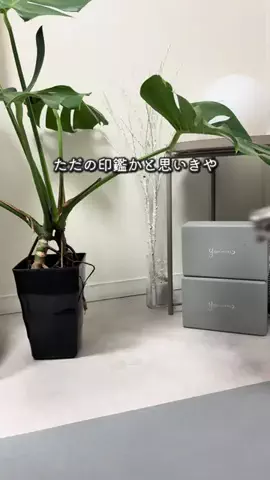 れみ| ﾏﾏのﾀﾞｲｴｯﾄﾄﾚｰﾅｰのTikTok投稿