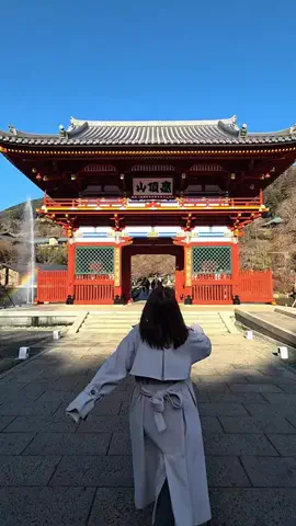 わら旅夫婦のTikTok投稿