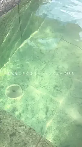 えりたびのTikTok投稿