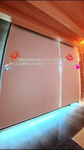えりたびのTikTok投稿