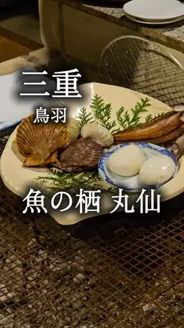 アルコールのひとのTikTok投稿