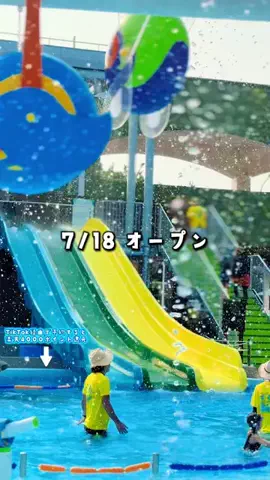 ペリー来航のTikTok投稿