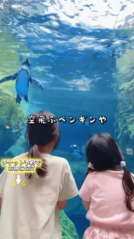 ペリー来航のTikTok投稿