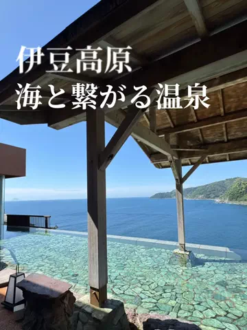 アルコールのひとのTikTok投稿