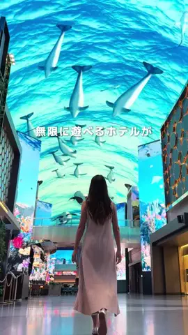 coco_tabilifeのTikTok投稿