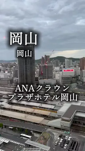 アルコールのひとのTikTok投稿