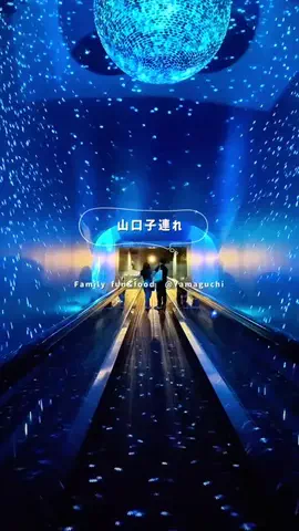 おでかけ情報をギュッと発信📢ルミルミ⿻*.·のTikTok投稿