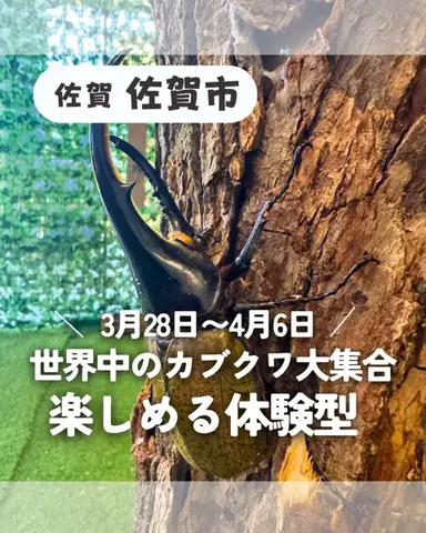うお | 福岡のTikTok投稿