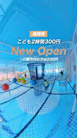 うお | 福岡のTikTok投稿