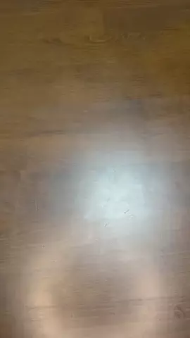 ドルフィン生活館のTikTok投稿