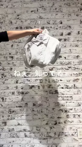 pual_denruriのTikTok投稿