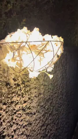 おとけしきのTikTok投稿