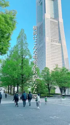 ryoko｜横浜・鎌倉・東京カフェ巡り☕️🍰のTikTok投稿