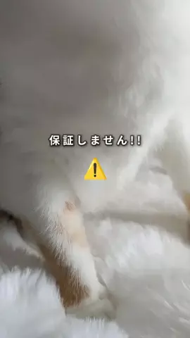 さえ〈100均・3coins・DIY便利術〉のTikTok投稿