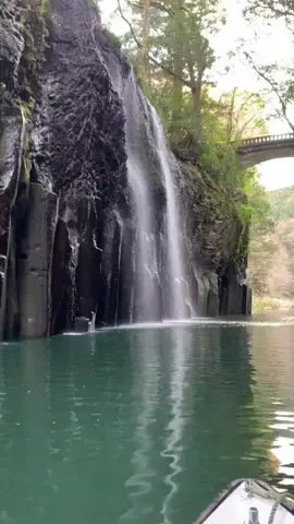 shoのTikTok投稿