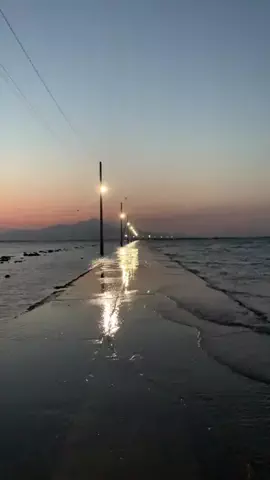shoのTikTok投稿