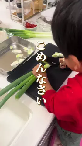 もちこのTikTok投稿