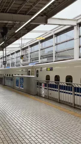 ももみ｜年100泊旅好き女子のTikTok投稿