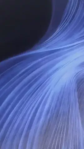 こあずき。💎のTikTok投稿