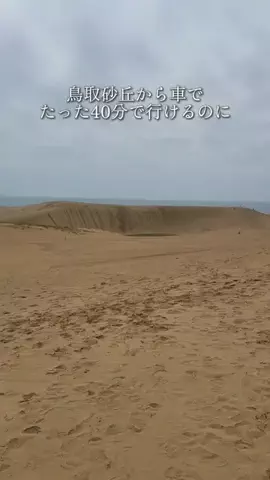 兵庫グルメ／HYOGO SELECTのTikTok投稿
