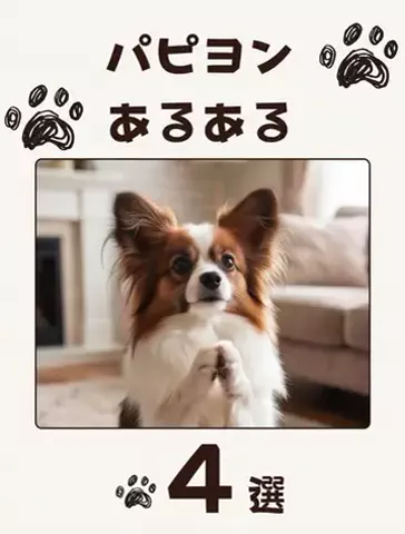 犬あるある劇場のTikTok投稿