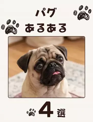 犬あるある劇場のTikTok投稿