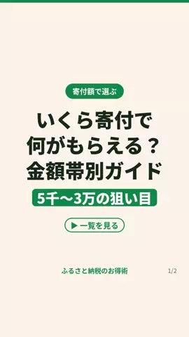 ふるさと納税ちゃんのTikTok投稿