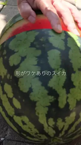 THE PROCESS ザ・プロセスのTikTok投稿