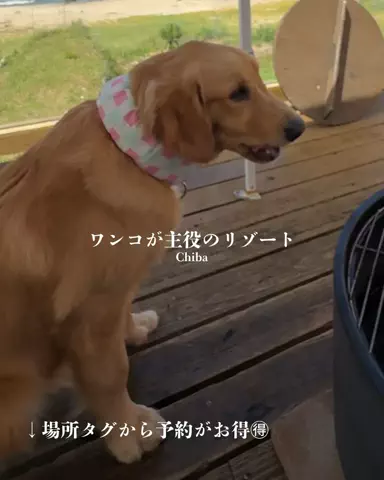 すなぎも⌇グルメ旅🍴✈️のTikTok投稿
