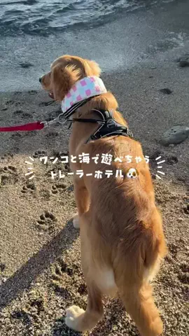 すなぎも⌇グルメ旅🍴✈️のTikTok投稿