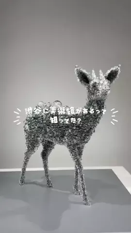 すなぎも⌇グルメ旅🍴✈️のTikTok投稿