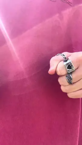 はやてのTikTok投稿