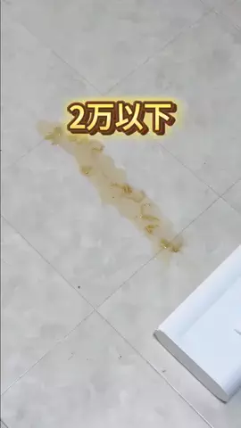 キウイ🥝のTikTok投稿