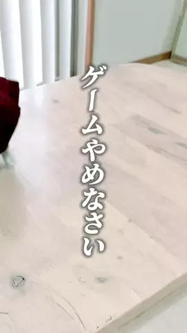 キウイ🥝のTikTok投稿